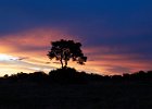 Sunset and storm clouds