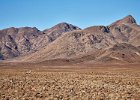 Oryx and Mountains