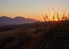 Dune and Grass Sunset