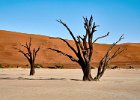 Deadvlei