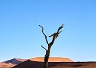 Deadvlei