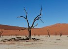 Deadvlei